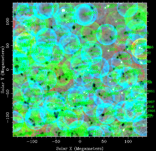 Identifying the origins of magnetic 
flux